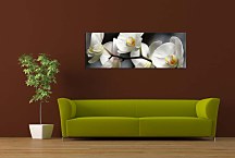 Orchide Obraz panoráma zs18623