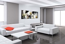 Orchide Obraz panoráma zs18623