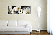 Orchide Obraz panoráma zs18623
