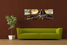 Obraz Korene stromu zs3256