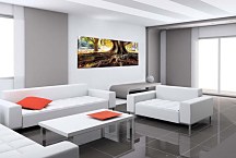 Obraz Korene stromu zs3256