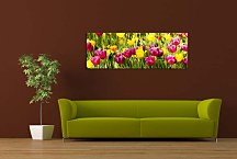 Obraz Tulipány zs18633