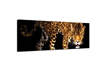 Obraz Panoráma Jaguár  zs3153