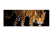 Obraz Panoráma Jaguár  zs3153