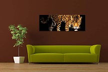 Obraz Panoráma Jaguár  zs3153
