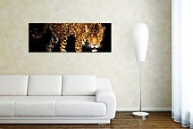 Obraz Panoráma Jaguár  zs3153