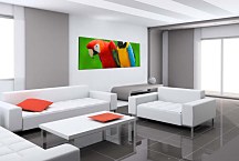 Panoráma Obraz Papgáj zs3163