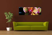 Panoráma Kvetov Obraz zs3132