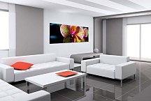 Panoráma Kvetov Obraz zs3132