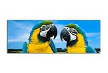 Obraz Panoráma Papagáj zs3162