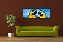 Obraz Panoráma Papagáj zs3162