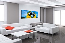 Obraz Panoráma Papagáj zs3162