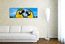 Obraz Panoráma Papagáj zs3162