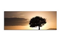 Obrazy Stromov zs395