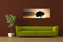 Obrazy Stromov zs395