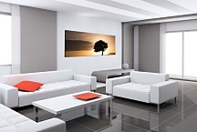 Obrazy Stromov zs395