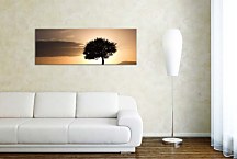 Obrazy Stromov zs395