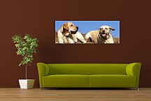 Obraz Panoráma zvieratá zs3154