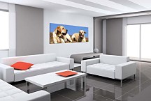 Obraz Panoráma zvieratá zs3154