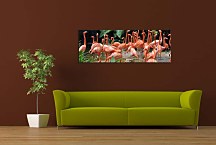 Obraz Panoráma Zvieratá zs18597