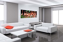 Obraz Panoráma Zvieratá zs18597