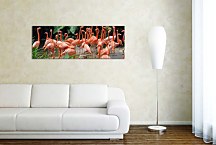 Obraz Panoráma Zvieratá zs18597