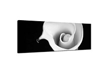 Obraz Panoráma Kvet zs268