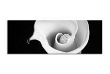 Obraz Panoráma Kvet zs268