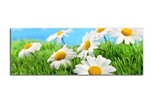 Panoráma kvetov Obraz zs105