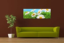 Panoráma kvetov Obraz zs105