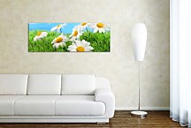 Panoráma kvetov Obraz zs105