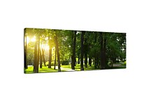 Panoráma Les Obrazy zs3275