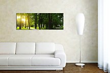 Panoráma Les Obrazy zs3275