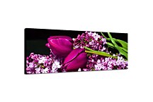 Panoráma Obraz zs3149