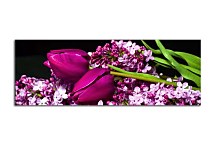 Panoráma Obraz zs3149