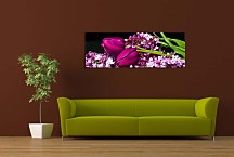 Panoráma Obraz zs3149