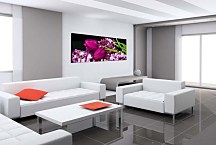 Panoráma Obraz zs3149