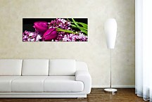 Panoráma Obraz zs3149