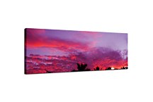 Panoráma Obraz Fialové nebo zs3208