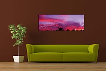 Panoráma Obraz Fialové nebo zs3208
