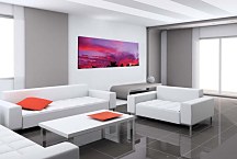 Panoráma Obraz Fialové nebo zs3208