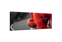 Panoráma obraz Kvet zs102