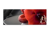 Panoráma obraz Kvet zs102