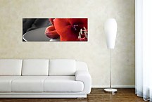 Panoráma obraz Kvet zs102