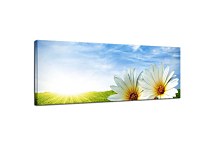 Panoráma Obraz Kvety zs18513