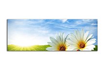 Panoráma Obraz Kvety zs18513