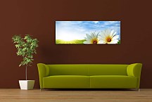 Panoráma Obraz Kvety zs18513