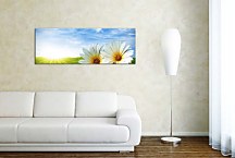 Panoráma Obraz Kvety zs18513