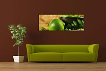 Panoráma Obraz Limetky zs364