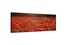 Panoráma obraz Lúka zs104